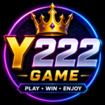Y222 Game